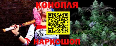 МДПВ Ачхой-Мартан