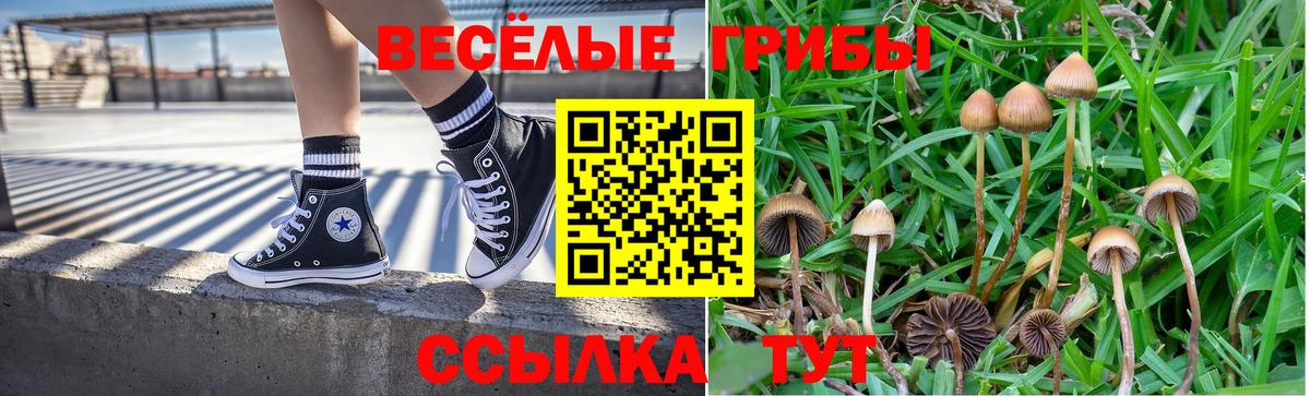 Псилоцибиновые грибы прущие грибы Артём
