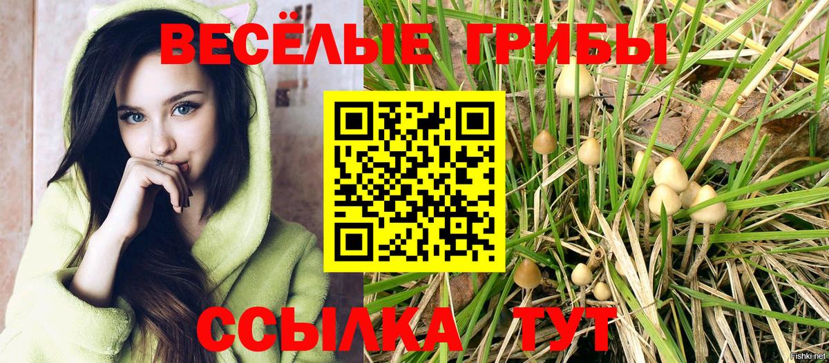 Галлюциногенные грибы мухоморы  Вход с VPN  Псилоцибиновые грибы GOLDEN TEACHER  Артём 